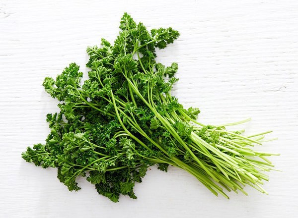 Parsley Curly Bunch