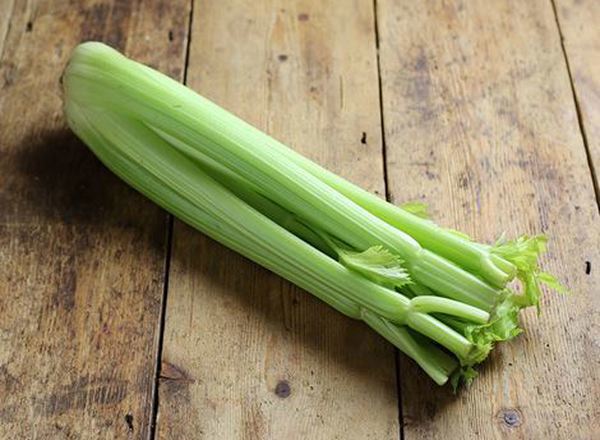 Celery - Organic