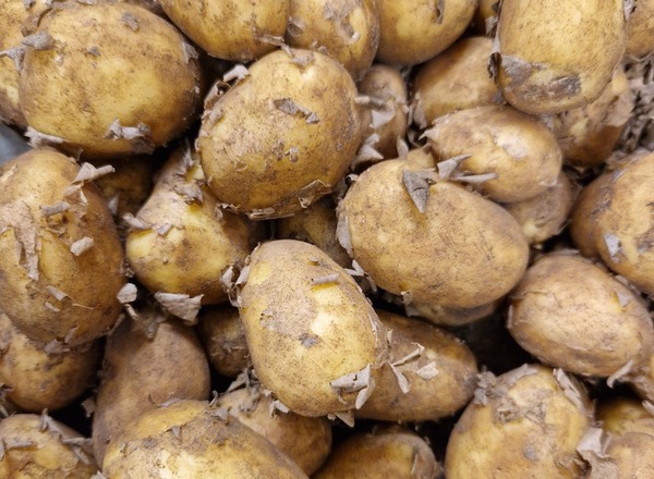 1kg Spuds