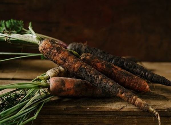 Carrots bunched/loose Organic