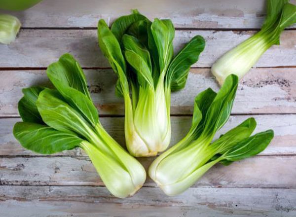 Pak Choi