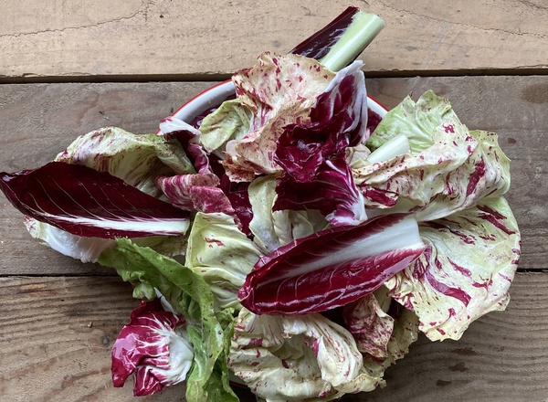 Radicchio mix