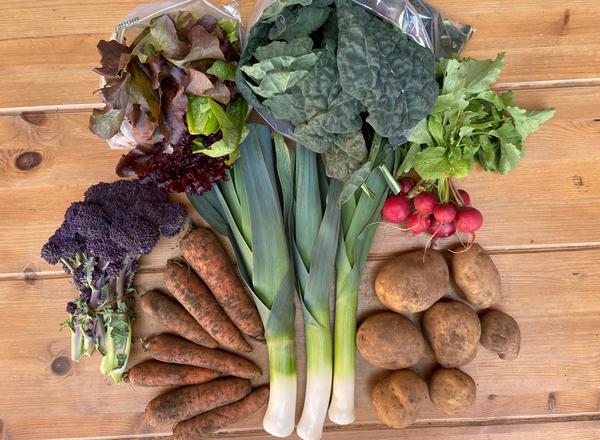 Seasonal Veg Bag MEDIUM