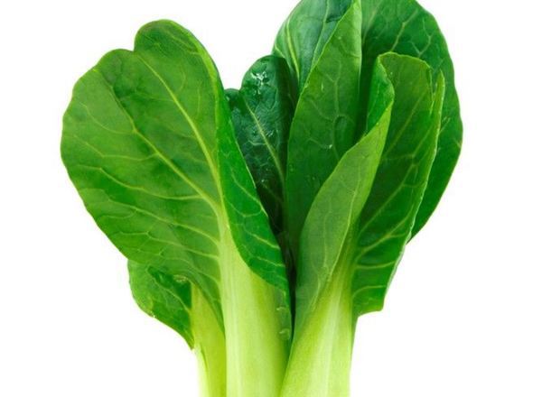 Bok Choy Organic
