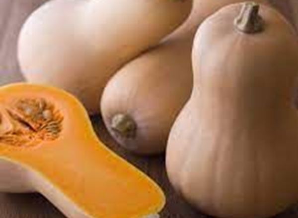 Squash - Butternut (Small)