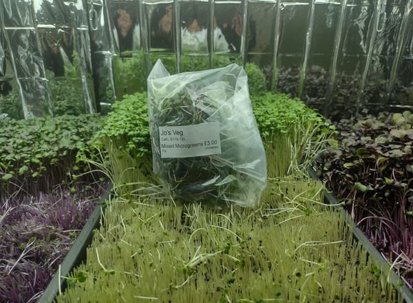 Mixed Microgreens add on