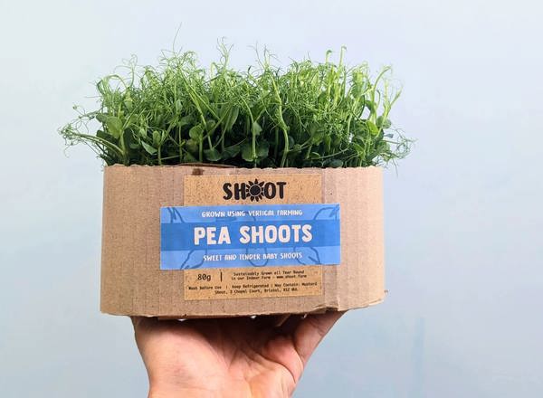 Pea Shoots (Shoot Urban Farm, Bristol)