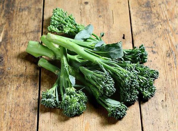 Broccoli - British Organic Tenderstem