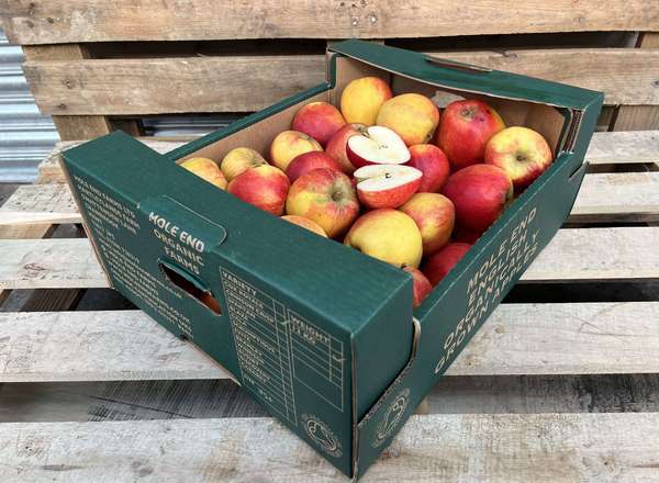 Organic Apple Cox Royale