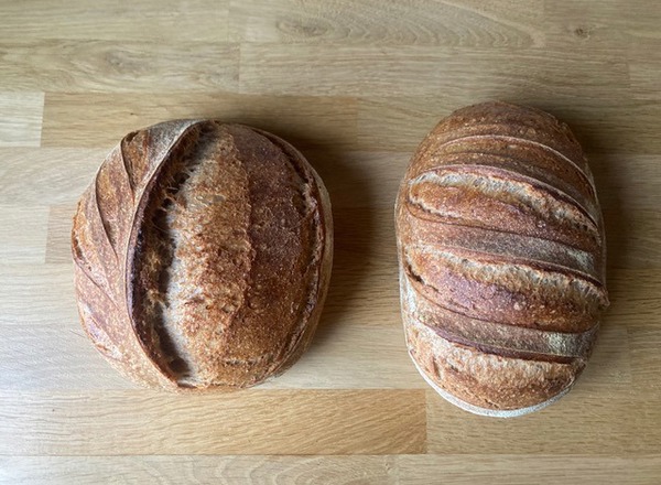 Bread - Organic House Sourdough with Red Poppy Seeds- 500g