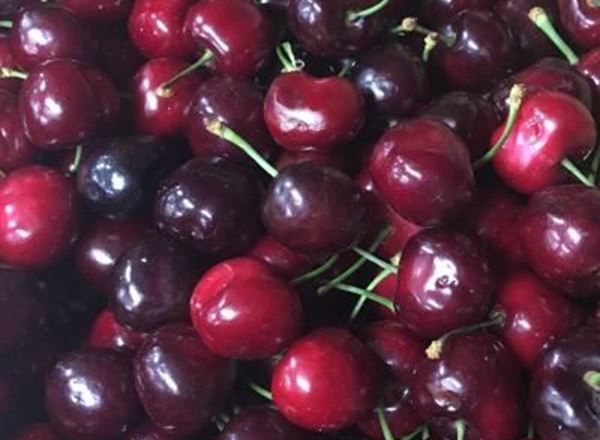 Cherries - Organic ESP