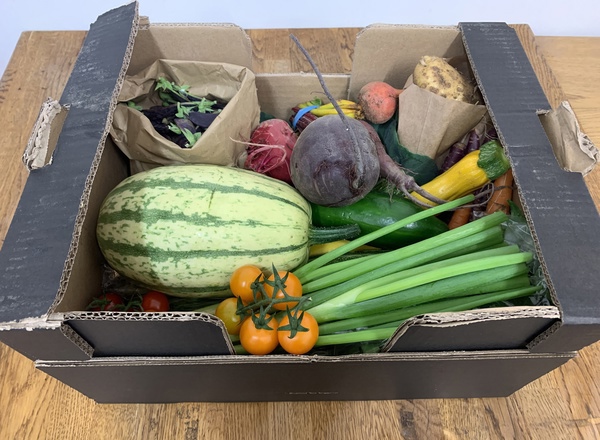 Veg Only Boxes