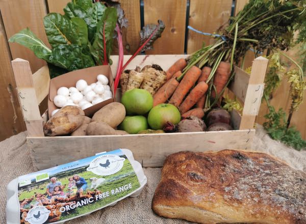 Fortnightly Vegetable Box with Bread and Eggs