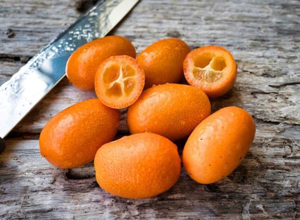Kumquat