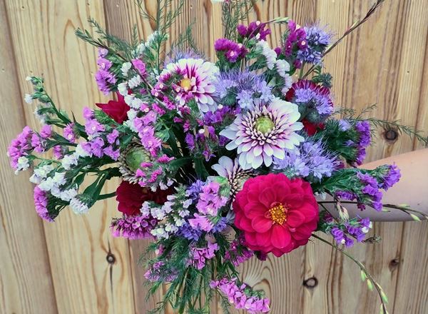 Flowers grown at Two Acre Farm