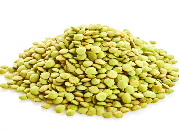 Corbys gwyrdd/Green Lentils 3kg (Organically grown)