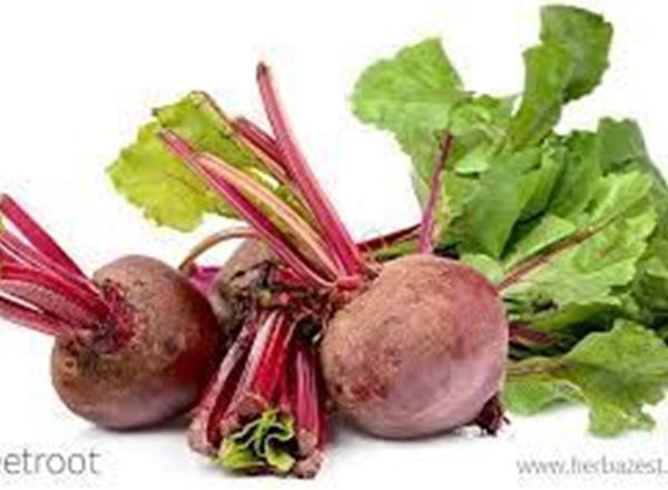 Beetroot EKG