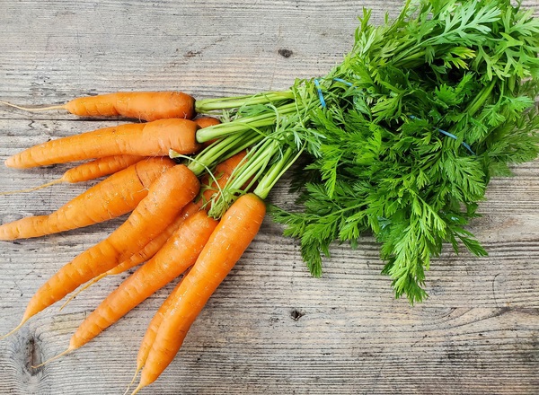 Carrots - bunched
