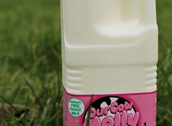 Our Cow Molly Semi Skimmed Milk, 1L