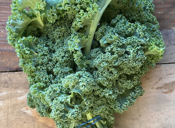 Kale - green and curley