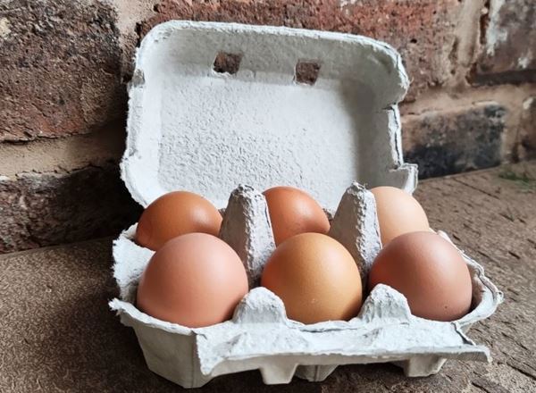 Eggs Organic Medium half-dozen
