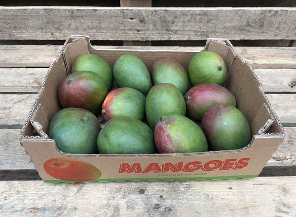 Mango - Organic Kent