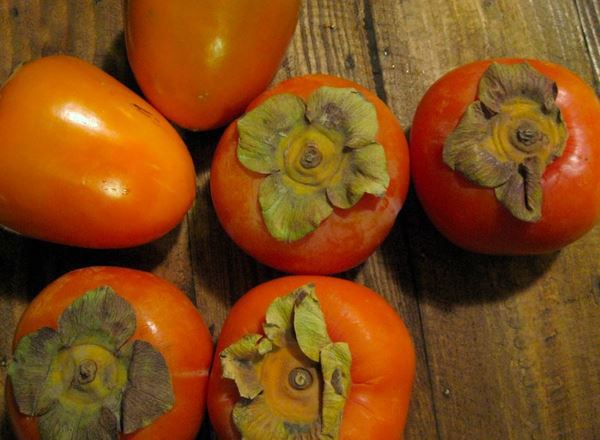 Persimmon Fruit