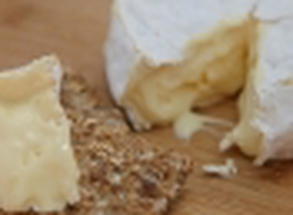 Organic Pexommier Cheese