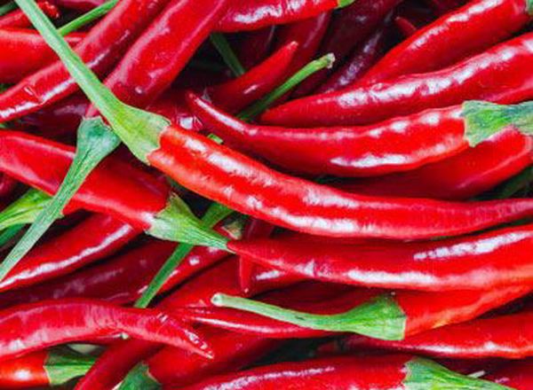 Chillies - Medium Heat Approx 100g