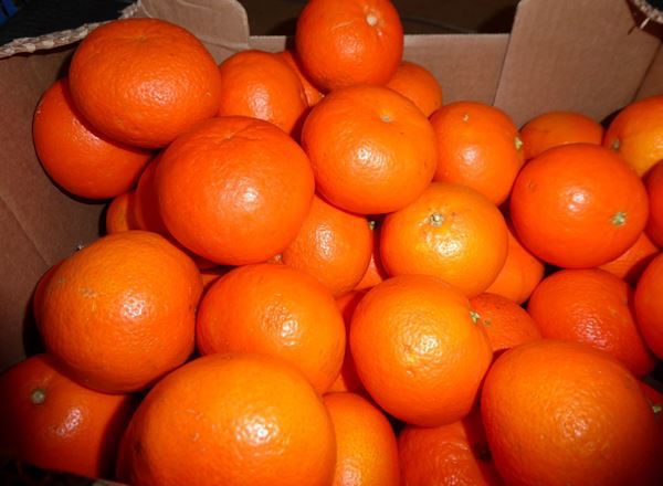 Clementines (approx 500g)