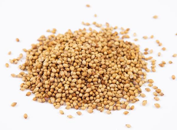 Hadau coriander/Coriander Seeds 20g