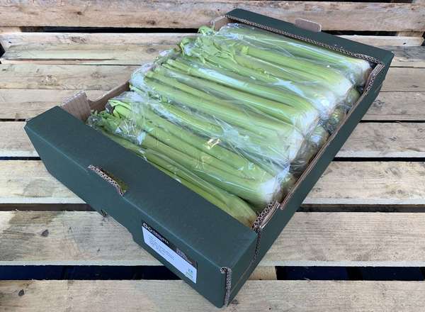 Organic Celery in Bags 14 x 350g