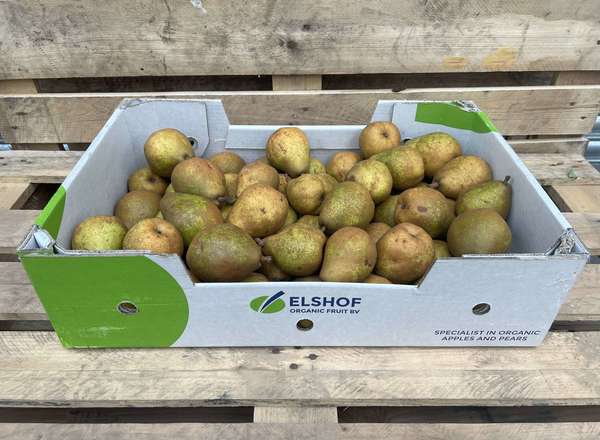 Pear: Comice