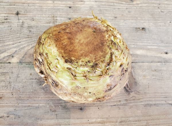 Celeriac