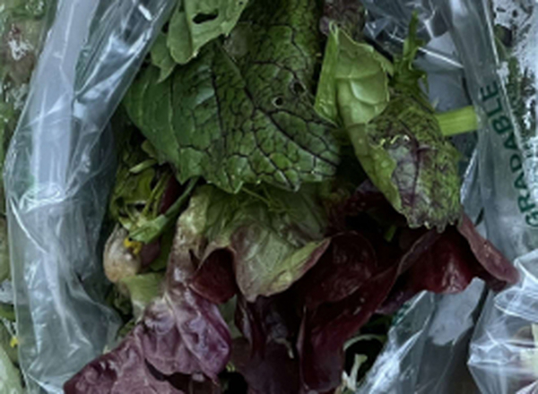 Salad bag 100g