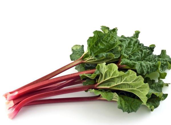 . Rhubarb