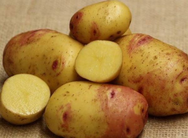 Potato: Carolus 3kg