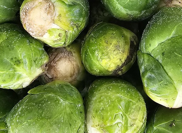 Brussels Sprouts