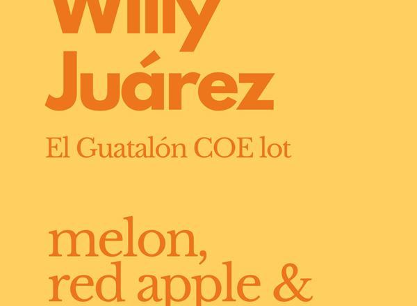 Coffee: Willy Juarez (Whole Bean) 1kg - NP