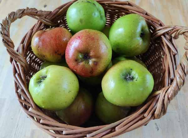 Fruit - cooking apples 1kg