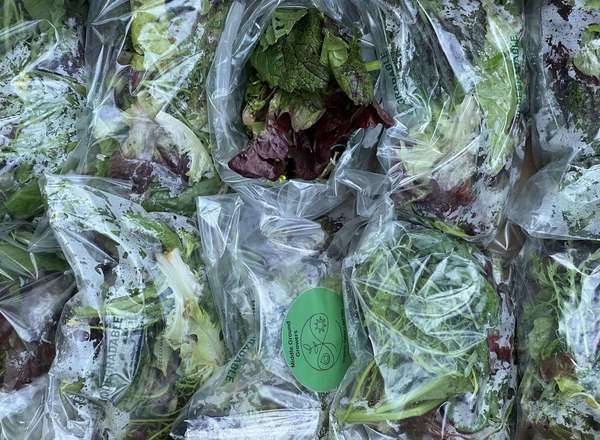 Salad Bag