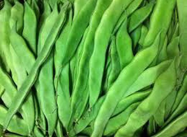 Beans - Flat (Spain)