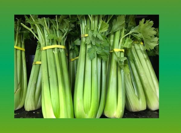 Celery