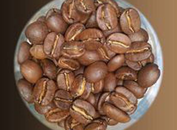Elevenses Coffee Beans Mexico ~ Mountain Water Decaf small bag