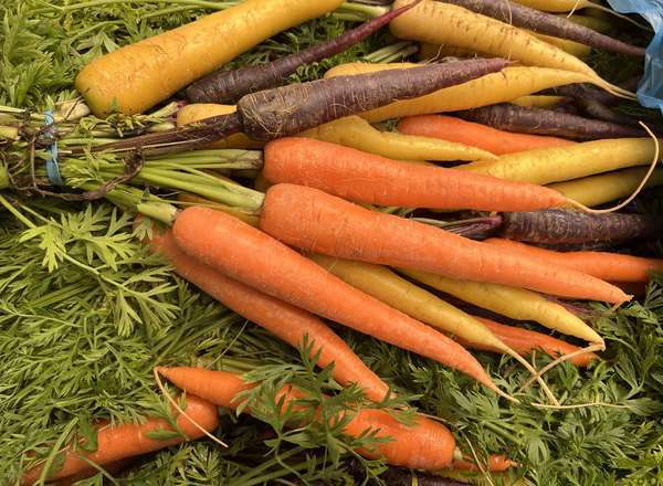 Carrots, British Rainbow Bunch with Tops