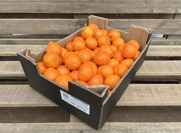 Clementines - Organic