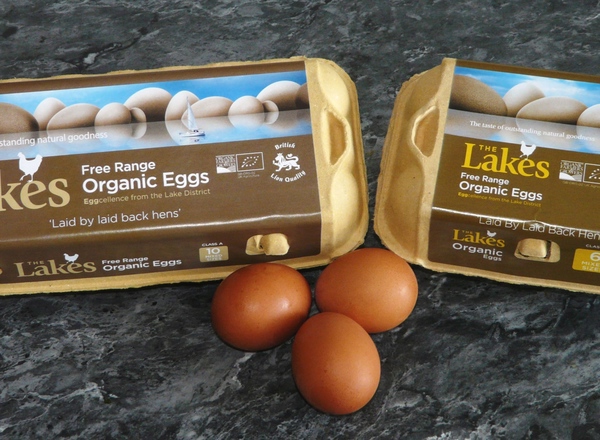 Eggs - 12 Large Organic