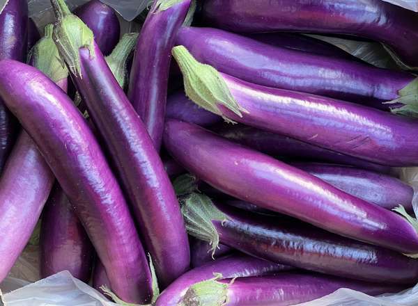 Aubergine - Pink Tongue (Spain)
