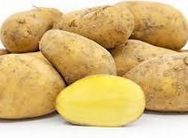 Potatoes - British Organic Charlotte