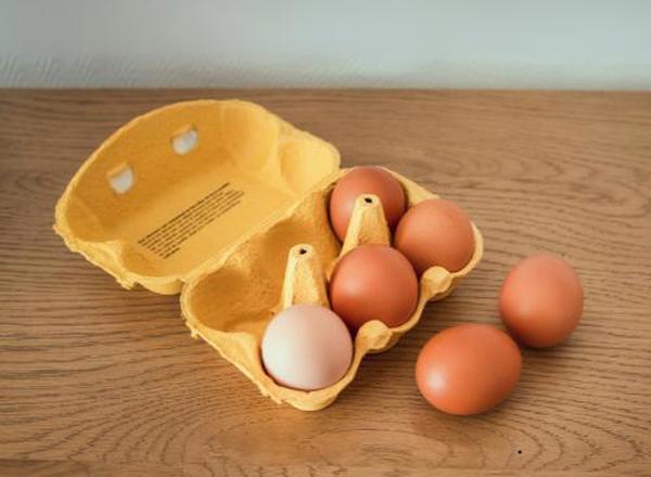 6 Eggs